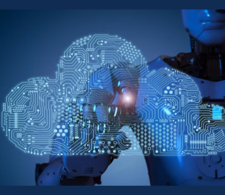 Fapelli Platform 2026: Features, Benefits & Guide